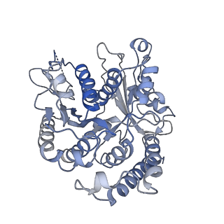 17187_8otz_BM_v1-0
48-nm repeat of the native axonemal doublet microtubule from bovine sperm