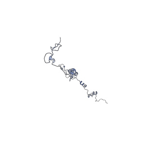 17187_8otz_BW_v1-0
48-nm repeat of the native axonemal doublet microtubule from bovine sperm