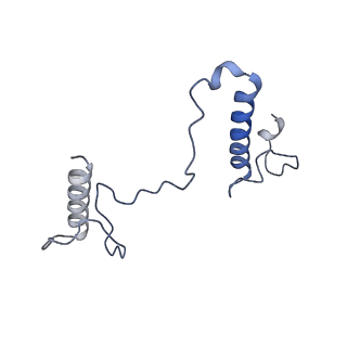 17187_8otz_BY_v1-0
48-nm repeat of the native axonemal doublet microtubule from bovine sperm