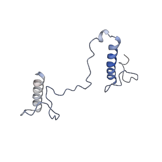17187_8otz_BZ_v1-0
48-nm repeat of the native axonemal doublet microtubule from bovine sperm