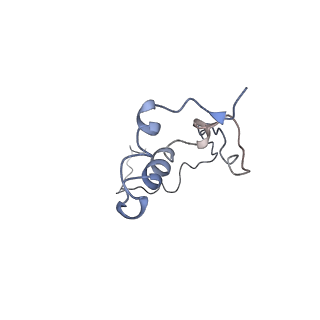 17187_8otz_B_v1-0
48-nm repeat of the native axonemal doublet microtubule from bovine sperm