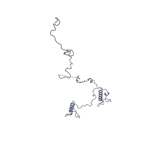 17187_8otz_Ba_v1-0
48-nm repeat of the native axonemal doublet microtubule from bovine sperm