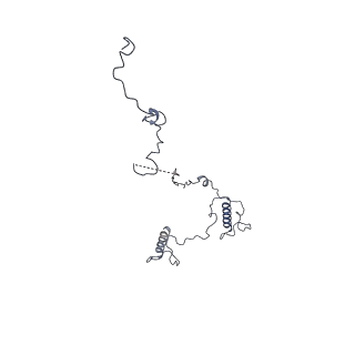 17187_8otz_Bb_v1-0
48-nm repeat of the native axonemal doublet microtubule from bovine sperm