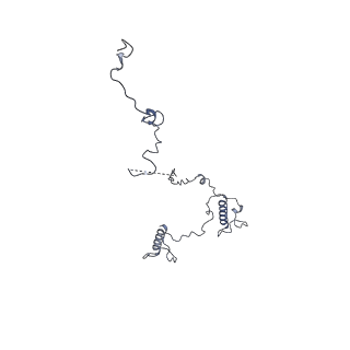 17187_8otz_Bc_v1-0
48-nm repeat of the native axonemal doublet microtubule from bovine sperm