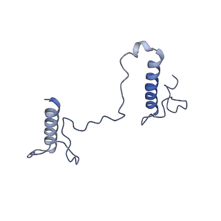 17187_8otz_Bd_v1-0
48-nm repeat of the native axonemal doublet microtubule from bovine sperm