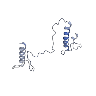 17187_8otz_Be_v1-0
48-nm repeat of the native axonemal doublet microtubule from bovine sperm