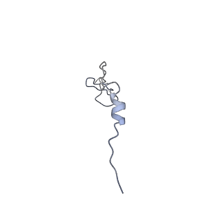 17187_8otz_Bf_v1-0
48-nm repeat of the native axonemal doublet microtubule from bovine sperm