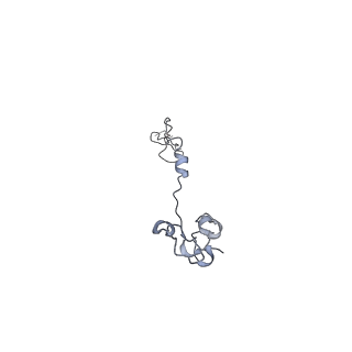 17187_8otz_Bg_v1-0
48-nm repeat of the native axonemal doublet microtubule from bovine sperm