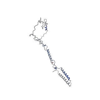 17187_8otz_Bz_v1-0
48-nm repeat of the native axonemal doublet microtubule from bovine sperm