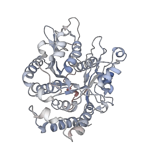 17187_8otz_CA_v1-0
48-nm repeat of the native axonemal doublet microtubule from bovine sperm