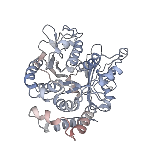 17187_8otz_CB_v1-0
48-nm repeat of the native axonemal doublet microtubule from bovine sperm