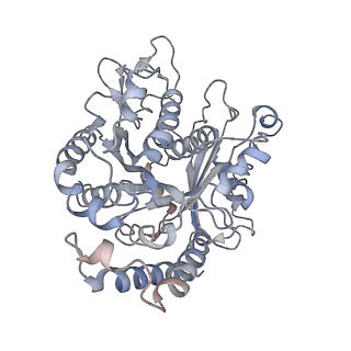 17187_8otz_CC_v1-0
48-nm repeat of the native axonemal doublet microtubule from bovine sperm