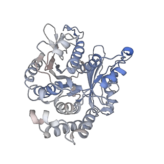 17187_8otz_CD_v1-0
48-nm repeat of the native axonemal doublet microtubule from bovine sperm