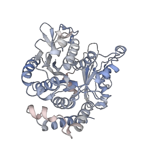 17187_8otz_CF_v1-0
48-nm repeat of the native axonemal doublet microtubule from bovine sperm