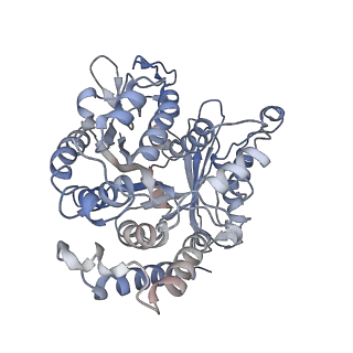17187_8otz_CH_v1-0
48-nm repeat of the native axonemal doublet microtubule from bovine sperm