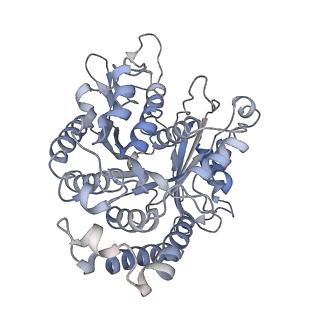 17187_8otz_CI_v1-0
48-nm repeat of the native axonemal doublet microtubule from bovine sperm