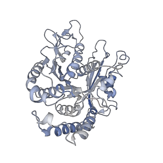 17187_8otz_CK_v1-0
48-nm repeat of the native axonemal doublet microtubule from bovine sperm
