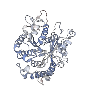 17187_8otz_CM_v1-0
48-nm repeat of the native axonemal doublet microtubule from bovine sperm