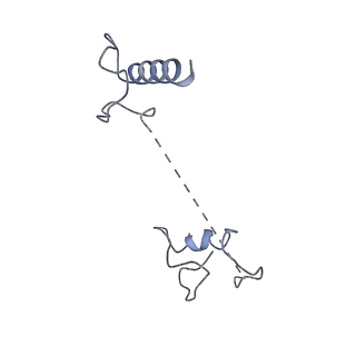 17187_8otz_CN_v1-0
48-nm repeat of the native axonemal doublet microtubule from bovine sperm