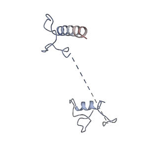 17187_8otz_CO_v1-0
48-nm repeat of the native axonemal doublet microtubule from bovine sperm