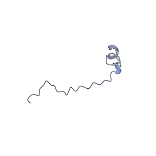 17187_8otz_CQ_v1-0
48-nm repeat of the native axonemal doublet microtubule from bovine sperm