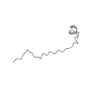 17187_8otz_CR_v1-0
48-nm repeat of the native axonemal doublet microtubule from bovine sperm