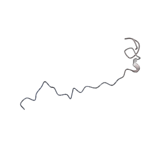 17187_8otz_CS_v1-0
48-nm repeat of the native axonemal doublet microtubule from bovine sperm
