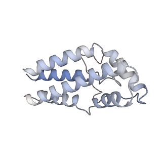 17187_8otz_CU_v1-0
48-nm repeat of the native axonemal doublet microtubule from bovine sperm