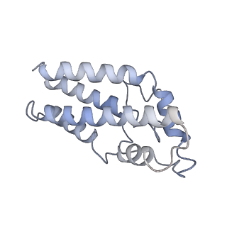 17187_8otz_CV_v1-0
48-nm repeat of the native axonemal doublet microtubule from bovine sperm