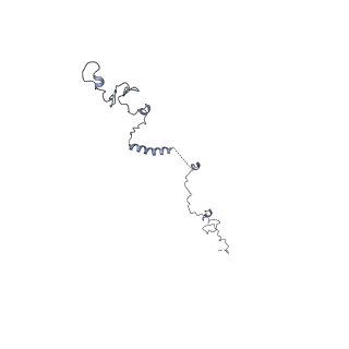 17187_8otz_CW_v1-0
48-nm repeat of the native axonemal doublet microtubule from bovine sperm