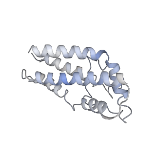 17187_8otz_CX_v1-0
48-nm repeat of the native axonemal doublet microtubule from bovine sperm