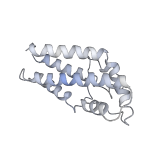 17187_8otz_CY_v1-0
48-nm repeat of the native axonemal doublet microtubule from bovine sperm