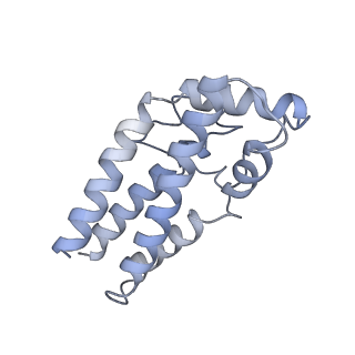 17187_8otz_CZ_v1-0
48-nm repeat of the native axonemal doublet microtubule from bovine sperm