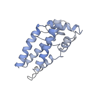 17187_8otz_Cc_v1-0
48-nm repeat of the native axonemal doublet microtubule from bovine sperm
