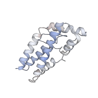 17187_8otz_Ce_v1-0
48-nm repeat of the native axonemal doublet microtubule from bovine sperm