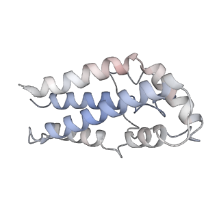 17187_8otz_Cf_v1-0
48-nm repeat of the native axonemal doublet microtubule from bovine sperm