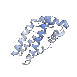 17187_8otz_Cg_v1-0
48-nm repeat of the native axonemal doublet microtubule from bovine sperm