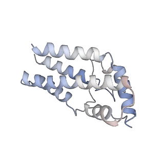 17187_8otz_Cj_v1-0
48-nm repeat of the native axonemal doublet microtubule from bovine sperm