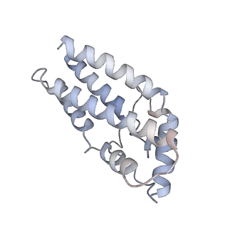 17187_8otz_Ck_v1-0
48-nm repeat of the native axonemal doublet microtubule from bovine sperm