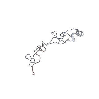 17187_8otz_Cl_v1-0
48-nm repeat of the native axonemal doublet microtubule from bovine sperm
