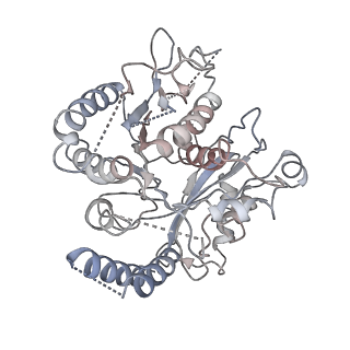 17187_8otz_DA_v1-0
48-nm repeat of the native axonemal doublet microtubule from bovine sperm