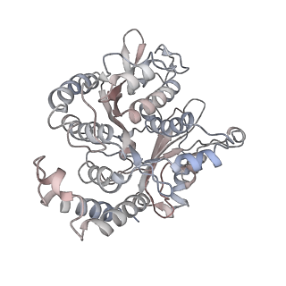 17187_8otz_DB_v1-0
48-nm repeat of the native axonemal doublet microtubule from bovine sperm