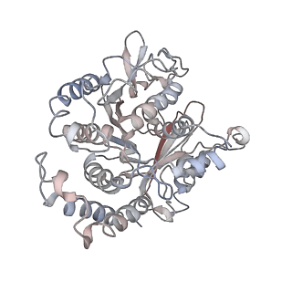 17187_8otz_DD_v1-0
48-nm repeat of the native axonemal doublet microtubule from bovine sperm