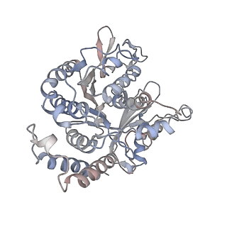 17187_8otz_DF_v1-0
48-nm repeat of the native axonemal doublet microtubule from bovine sperm
