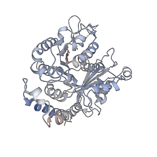 17187_8otz_DG_v1-0
48-nm repeat of the native axonemal doublet microtubule from bovine sperm