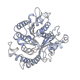 17187_8otz_DI_v1-0
48-nm repeat of the native axonemal doublet microtubule from bovine sperm