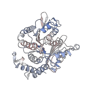 17187_8otz_DJ_v1-0
48-nm repeat of the native axonemal doublet microtubule from bovine sperm
