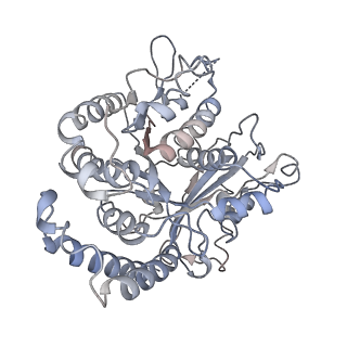 17187_8otz_DM_v1-0
48-nm repeat of the native axonemal doublet microtubule from bovine sperm
