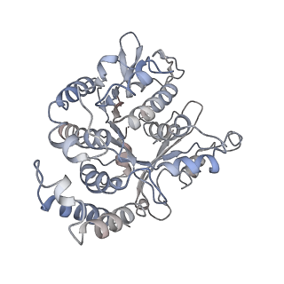 17187_8otz_DN_v1-0
48-nm repeat of the native axonemal doublet microtubule from bovine sperm