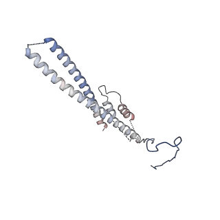 17187_8otz_DT_v1-0
48-nm repeat of the native axonemal doublet microtubule from bovine sperm